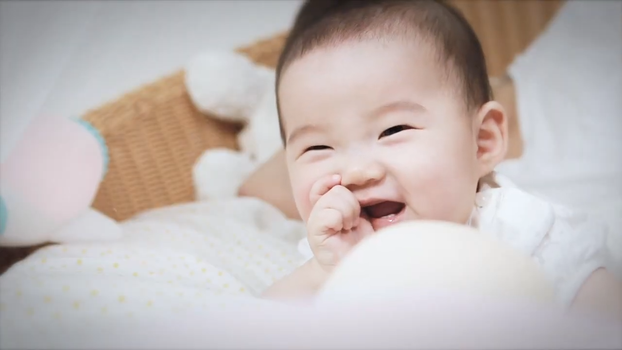 에버티 - 팜라이팅